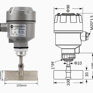 Cảm biến báo mức chất rắn 